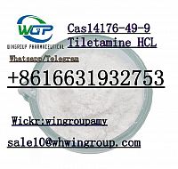 China factory direct supply Cas 14176-49-9  Tiletamine HCL