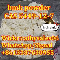 NEW BMK powder CAS 5449-12-7 / 5413-05-8 bmk glycidate supplier NEW PMK Powder