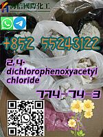    2, 4-dichlorophenoxyacetyl chloride	 Top supplier   774－74－3  