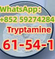  Tryptamine 61-54-1 77239-98-6 5086-74-8 23076-35-9 23426-63-3 5449-12-7  532-24-1 